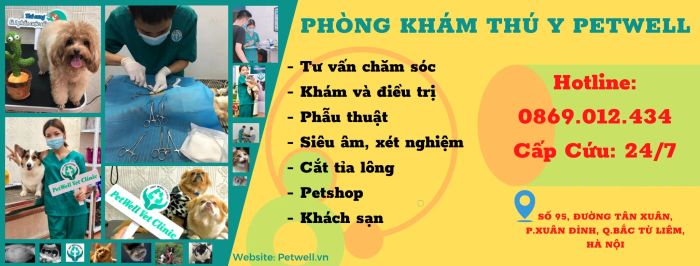 Khám phá hình ảnh đầu tiên về Phòng Khám Thú Y PetWell - PetWell Vet Clinic, nơi mang đến dịch vụ chăm sóc thú cưng chuyên nghiệp và tận tâm.
