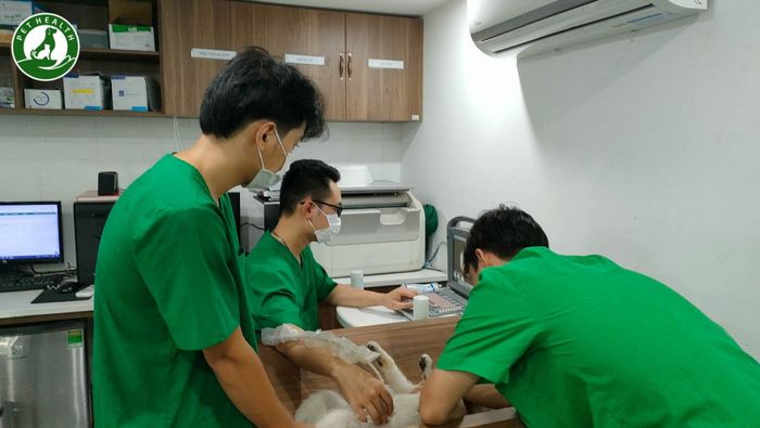 Hình ảnh cơ sở vật chất hiện đại tại Bệnh Viện Thú Y PetHealth