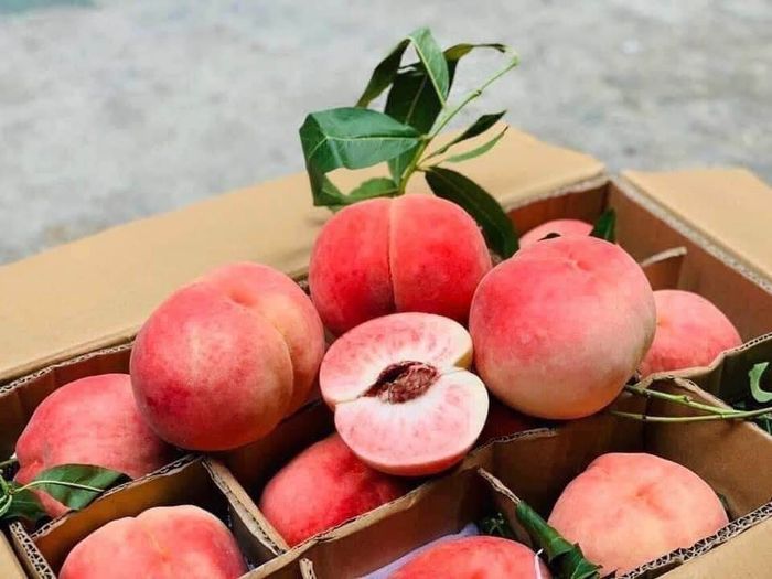 Hương Ly - Không gian trái cây đa sắc màu