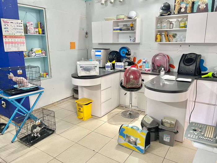 Hình ảnh Bệnh Viện Thú Y CoolPet