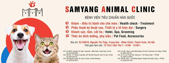 Không gian hiện đại tại Samyang Animal Clinic