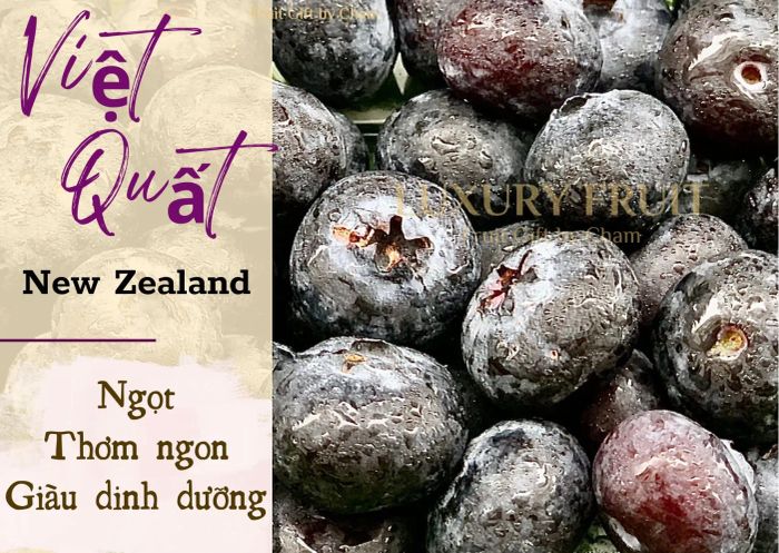 Không gian mua sắm sang trọng tại Luxury Fruit