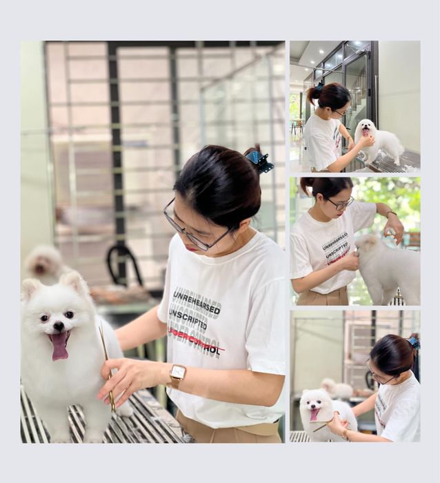 Hình ảnh không gian hiện đại tại phòng khám thú y ProVet