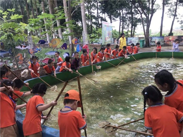 Khoảnh khắc đầu tiên tại Trường Mầm non Sao Sáng - Nơi những ước mơ nhỏ được chắp cánh
