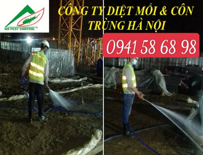 Đội ngũ kỹ thuật viên thực hiện xử lý mối chuyên nghiệp tại hiện trường