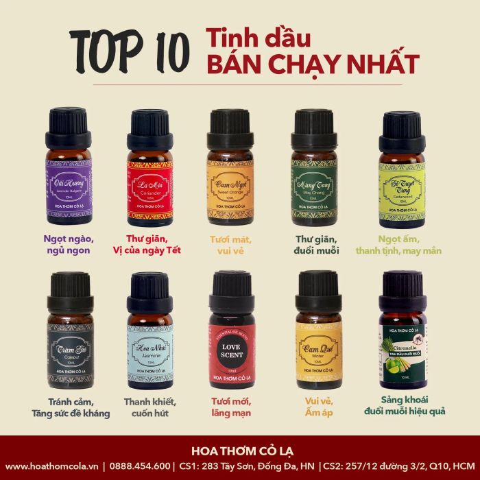 Hình ảnh không gian Hoa Thơm Cỏ Lạ