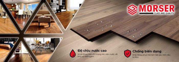 Sàn Gỗ Morser - Hình 2