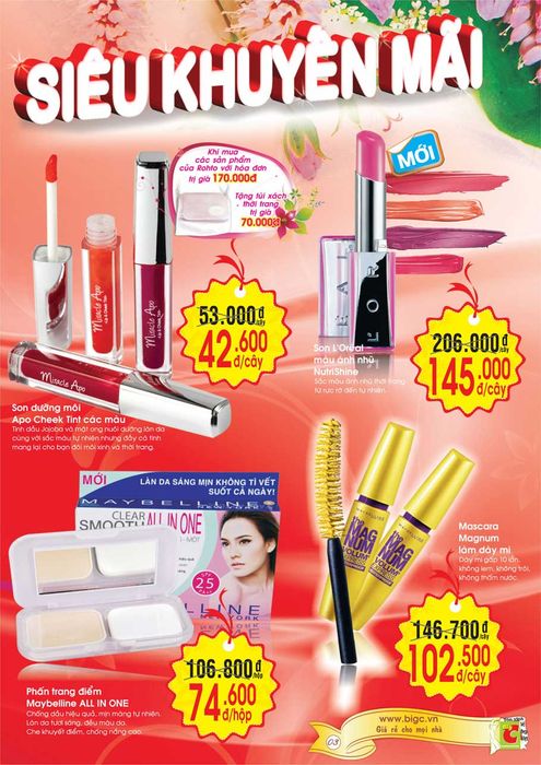 Bộ sưu tập mẫu tờ rơi đa dạng từ In Thành Nam