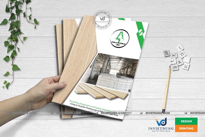Bộ sưu tập mẫu tờ rơi đa dạng từ Việt Dũng