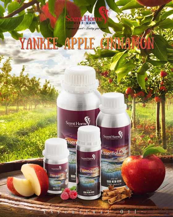 Hệ thống khuếch tán hương thơm chuyên nghiệp tại Scent Homes