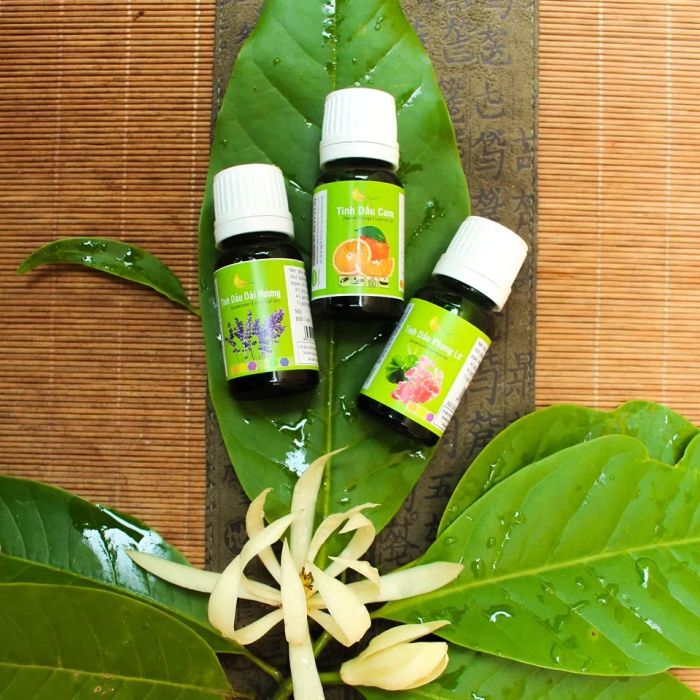 Không gian ấm cúng tại Tinh Dầu Thiện Tâm
