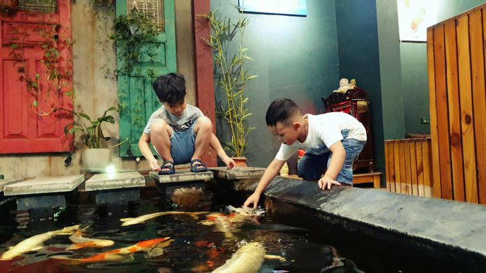 Không gian Nhật Bản thu nhỏ tại KOI Cafe & Showroom