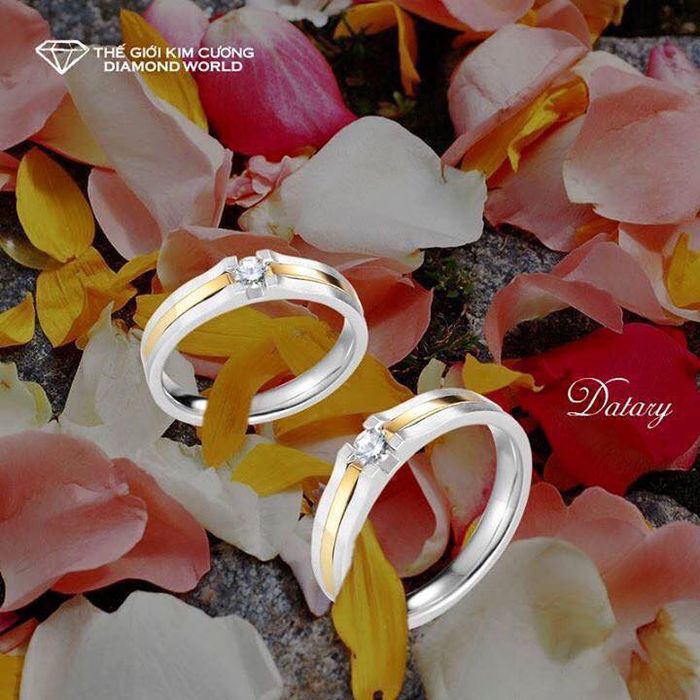 Thế Giới Kim Cương ảnh 1