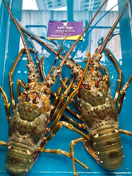 Không gian ẩm thực sang trọng tại Chợ Hải Sản Vạn Chài