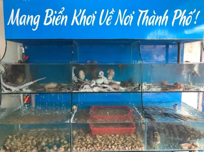 Không gian bày bán hải sản tươi sống tại Chợ Hải Sản Quảng Ninh