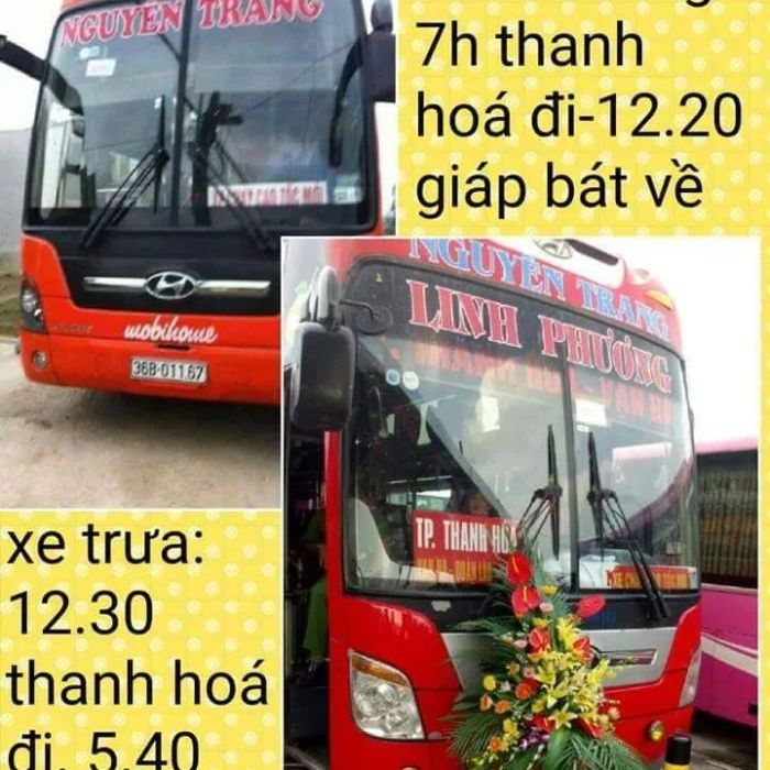 Hình ảnh xe giường nằm hiện đại của Nguyên Trang