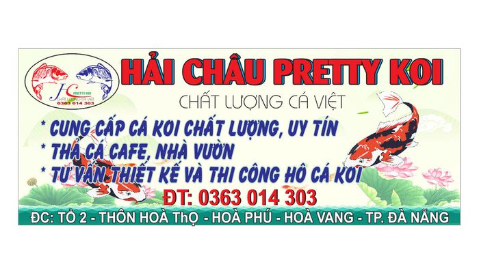 Khám phá hình ảnh độc đáo tại Koi Hải Châu - Phần 2