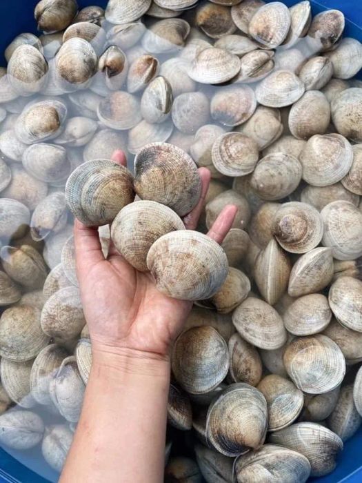 Không gian trưng bày hải sản tươi sống tại Hải Sản 24H