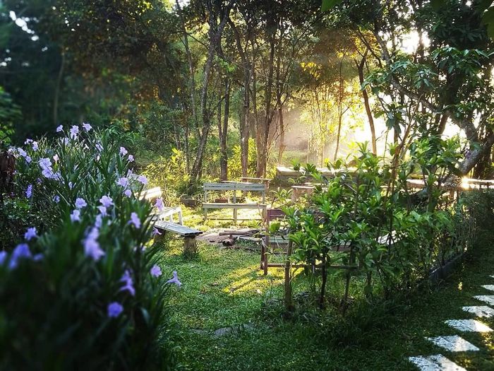 Trại Điên Homestay hình ảnh 1