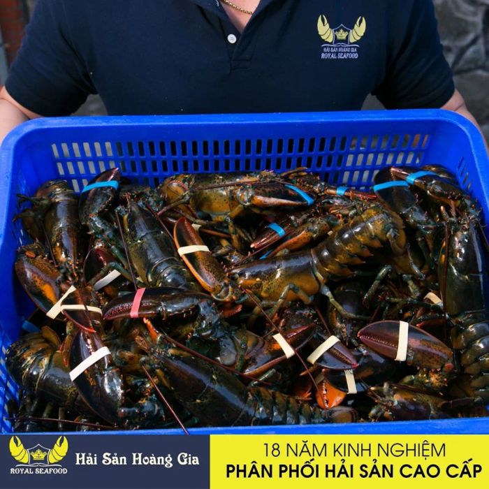 Hình ảnh hải sản tươi sống tại Hải sản Hoàng Gia