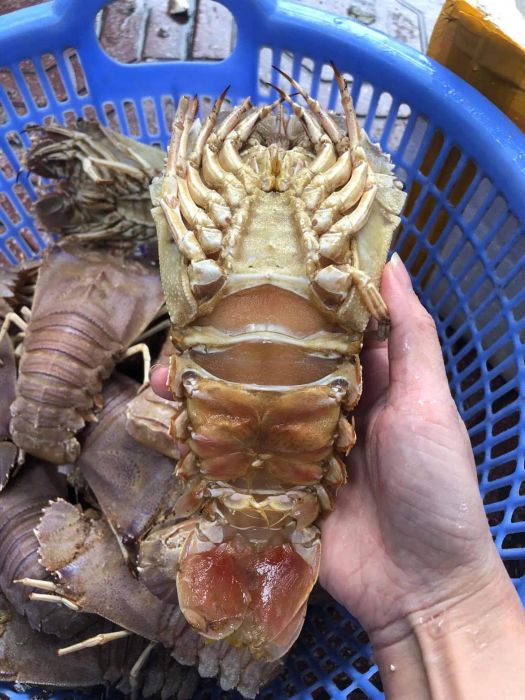 Hải sản Hiền Anh - Ảnh minh họa 1