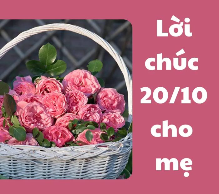 Hình ảnh minh họa (Nguồn: Tổng hợp)