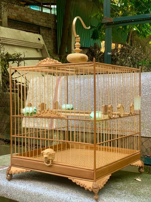 Không gian trưng bày đa dạng tại Dũng Lồng Chim