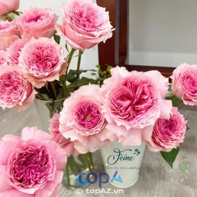 Feine Floral - Nghệ thuật kết hoa đỉnh cao