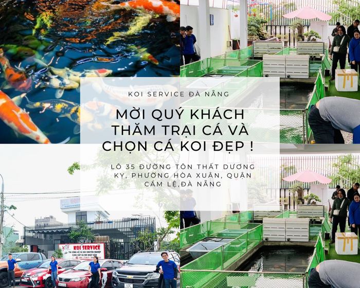Khám phá không gian ấn tượng tại Koi Service - Phần 1