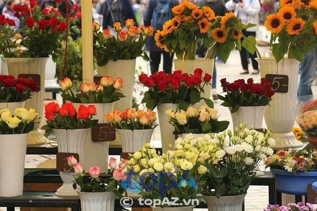 Khám phá shop hoa tươi Dĩ An - điểm đến lý tưởng để chọn lựa những bó hoa tươi thắm, bừng sáng không gian sống của bạn