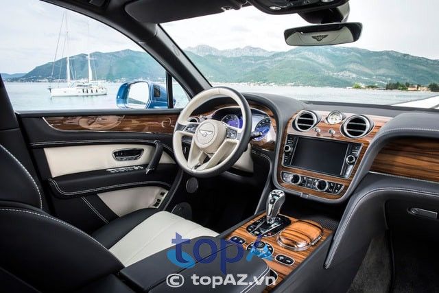 DIVA Car Belary - Đẳng cấp phụ kiện ô tô