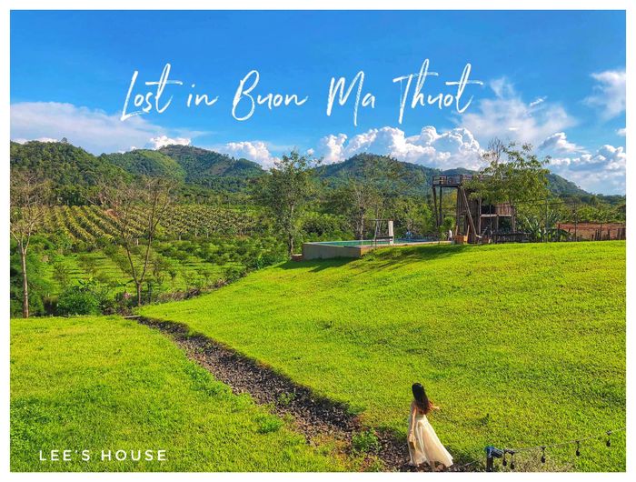 Hình ảnh Lee's House - Nhà gỗ nhỏ xinh giữa thảm cỏ xanh mướt