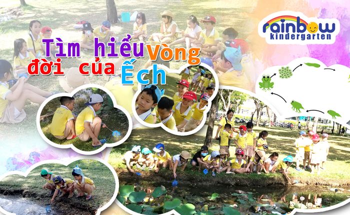 Khoảnh khắc vui chơi đáng yêu của các bé tại Trường Mầm non Cầu Vồng