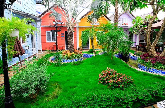Hình ảnh Zan Homestay - Không gian xanh mát đậm chất Đà Lạt thu nhỏ
