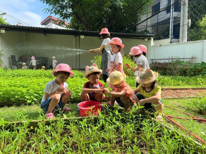 Trường mầm non KinderLand hình ảnh 3
