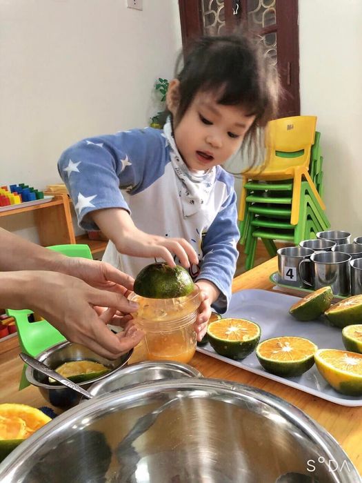 Ngôi trường Mầm Non Hoa Mặt Trời với hình ảnh sống động, tràn đầy sắc màu
