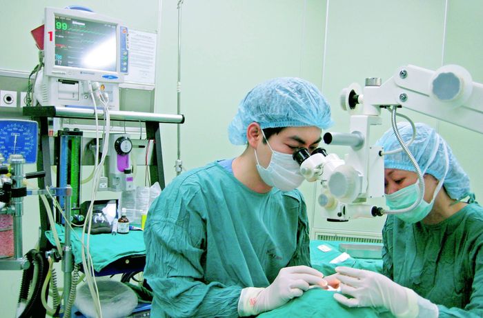Chuyên Khoa Mắt – Bệnh Viện Bạch Mai - Hình ảnh 2