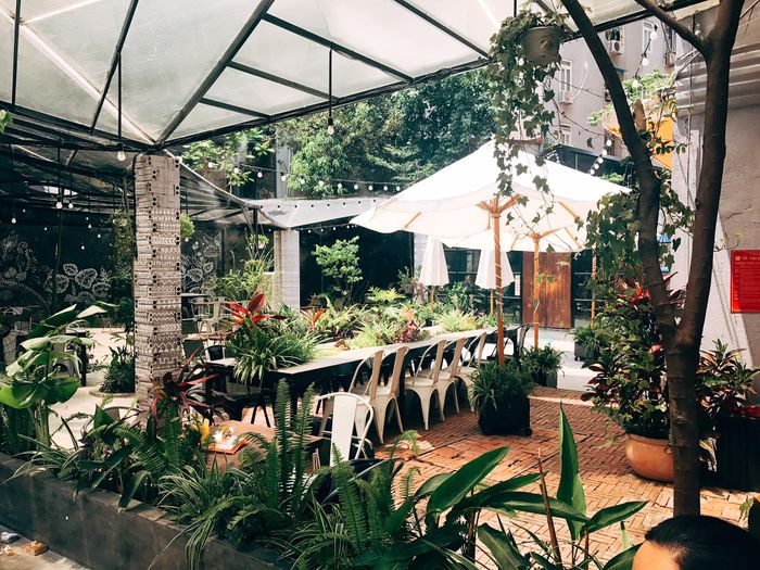 Hình ảnh Gardenista - Ốc đảo xanh mát giữa lòng phố thị