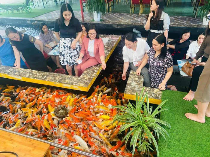 Diamond 99 Coffee - Hồ cá Koi lung linh giữa lòng thành phố