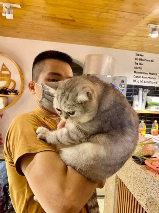 Không gian ấm cúng tại Bastet's Home