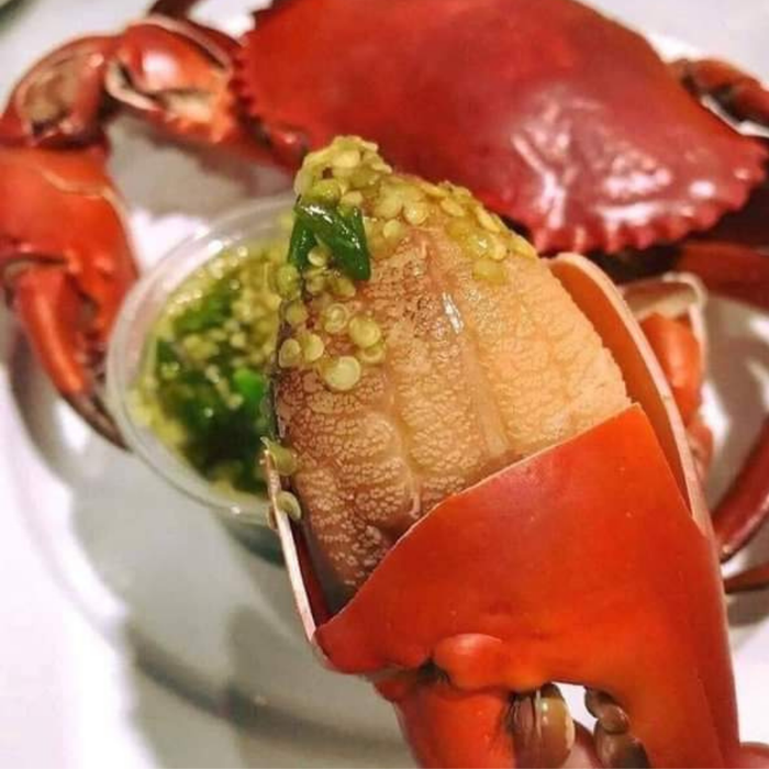 Không gian trưng bày sản phẩm cao cấp tại SÓI BIỂN - Nơi hội tụ tinh hoa ẩm thực