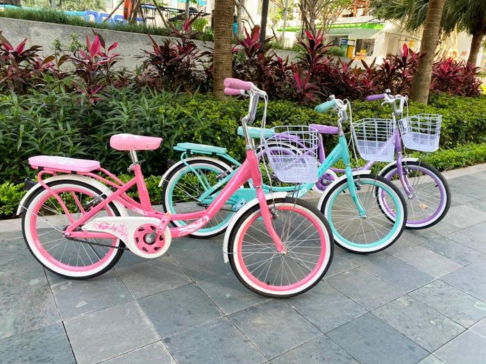 Hình ảnh Bike2School.vn - cửa hàng xe đạp trẻ em uy tín tại Hà Nội