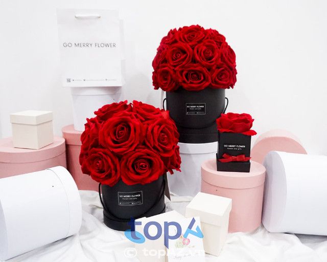Hoa sáp Go Merry Flower - Nét đẹp lưu giữ vĩnh hằng