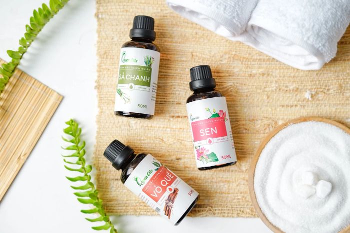 Queen Oils - Hình ảnh 2