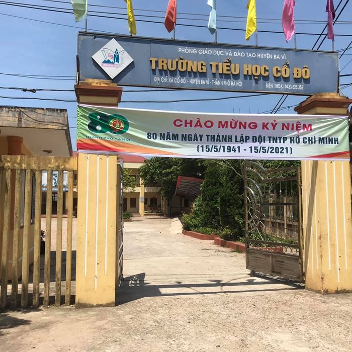 Hình ảnh đầu tiên về ngôi trường Tiểu học Cổ Đô thân yêu