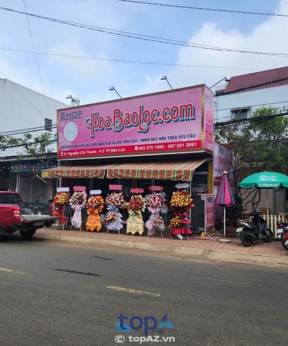 Hoa Tươi Bảo Lộc chuyên cung cấp đa dạng các loại hoa tươi cao cấp phục vụ mọi nhu cầu từ sự kiện lớn nhỏ đến những dịp đặc biệt trong đời.
