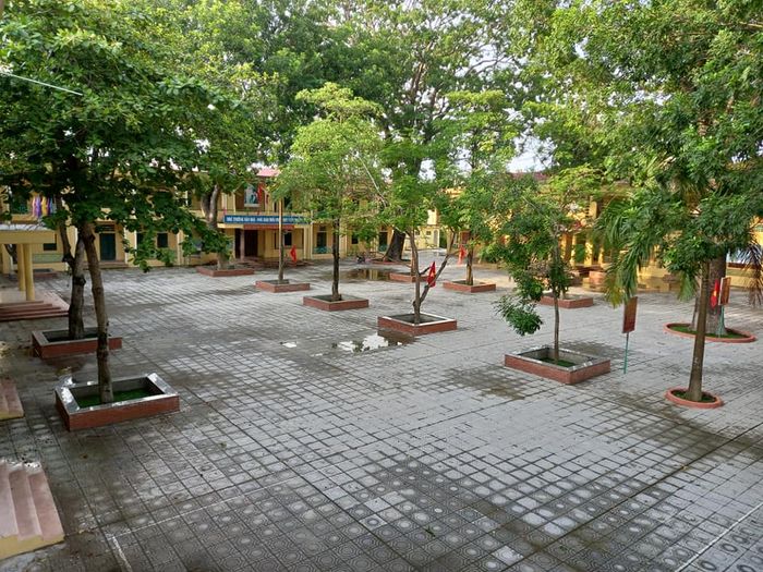 Hình ảnh ấn tượng về cơ sở vật chất khang trang và khuôn viên xanh mát của Trường Tiểu học Trường Thịnh