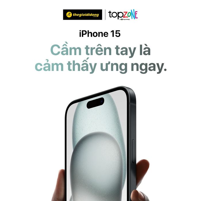 TopZone ảnh 1