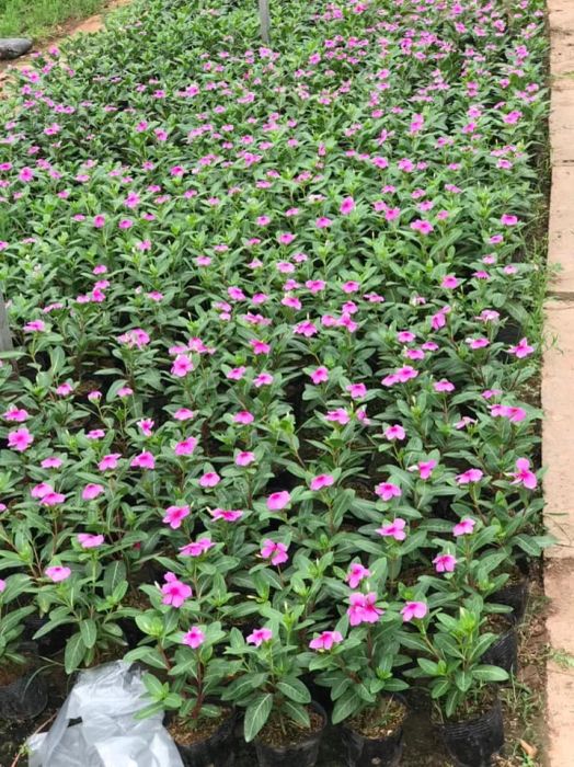 Công ty TNHH Đầu tư và Dịch Vụ Đức Thắng - hình ảnh 1