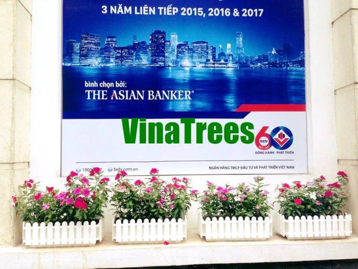 Công ty cổ phần đầu tư xây dựng và môi trường ViNaTrees - hình ảnh 1
